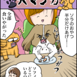 犬マンガ４４・ソラ初めてのドッグカフェ